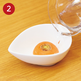 Lesson2 再生した葉はやわらかく栄養も◎ 人参や大根の軸を使って再生しよう_手順2