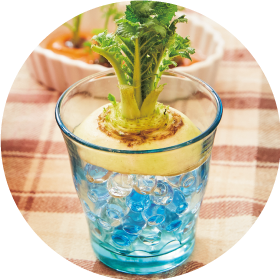 簡単＆エコでおしゃれにキッチンガーデニング 再生野菜『リボベジ』生活を楽しもう 夏にぴったりな涼しげアレンジ