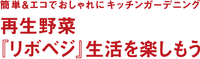 簡単＆エコでおしゃれにキッチンガーデニング 再生野菜『リボベジ』生活を楽しもう