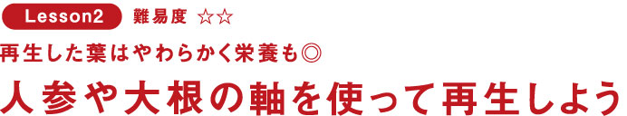 Lesson2 再生した葉はやわらかく栄養も◎ 人参や大根の軸を使って再生しよう