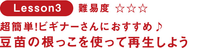 Lesson3 生け花感覚で楽しむ ネギや三つ葉で寄せ植えアレンジ