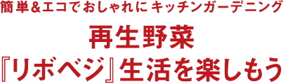 簡単＆エコでおしゃれにキッチンガーデニング 再生野菜『リボベジ』生活を楽しもう