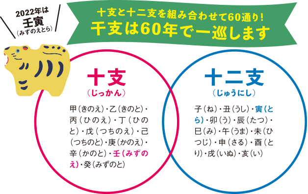 干支は60年で一巡します