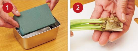 Lesson3 生け花感覚で楽しむ ネギや三つ葉で寄せ植えアレンジ_手順1,2