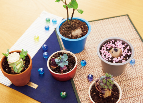 野菜の切れ端でベランダガーデニング 土に植えて再生チャレンジ!