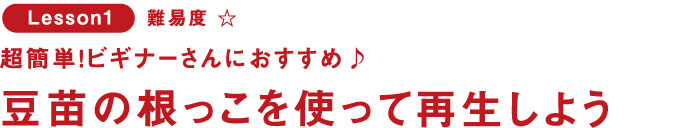 Lesson1 超簡単!ビギナーさんにおすすめ♪ 豆苗の根っこを使って再生しよう