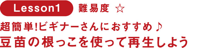 Lesson1 超簡単!ビギナーさんにおすすめ♪ 豆苗の根っこを使って再生しよう