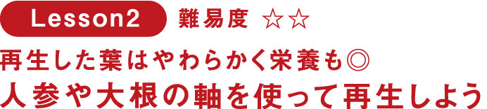 Lesson2 再生した葉はやわらかく栄養も◎ 人参や大根の軸を使って再生しよう