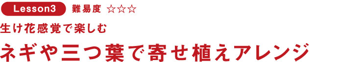 Lesson3 生け花感覚で楽しむ ネギや三つ葉で寄せ植えアレンジ
