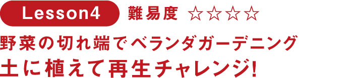 野菜の切れ端でベランダガーデニング 土に植えて再生チャレンジ!